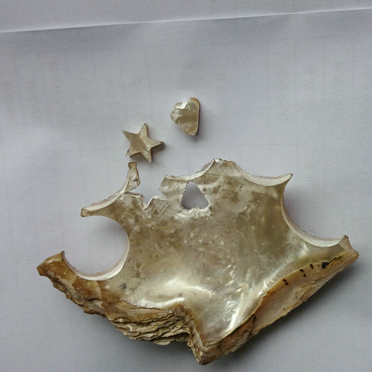 砂線切割機(jī)切割的貝殼五角星和心形形狀