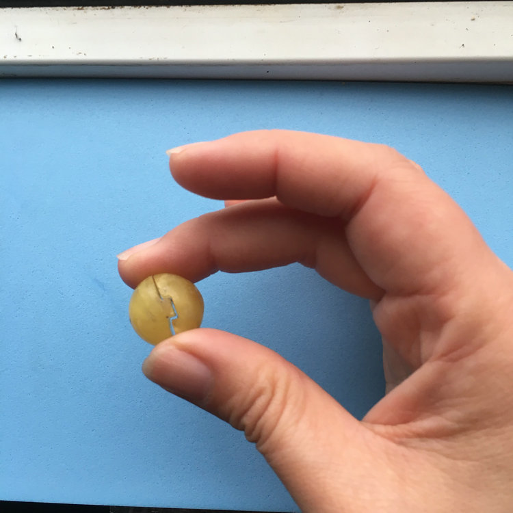 晨虹數(shù)控砂線切割機(jī)切割的蜜蠟珠子